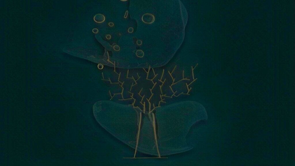 Matías Tigre publica «Los&nbsp;Tenis»