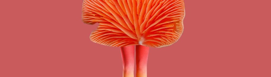 Valentina Marinkovic se adentra en la pista de baile con «Yo quiero&nbsp;bailar»