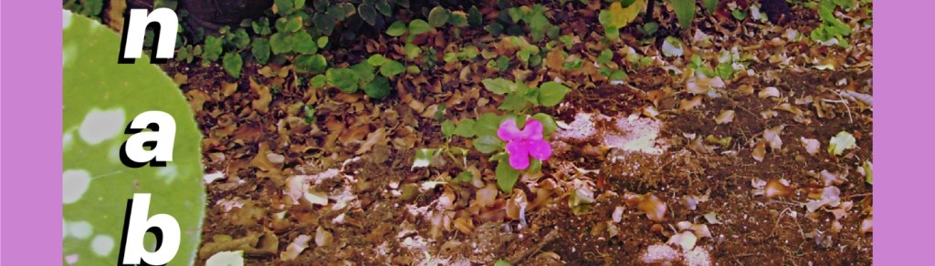 Bernabé estrena «Pinturas»