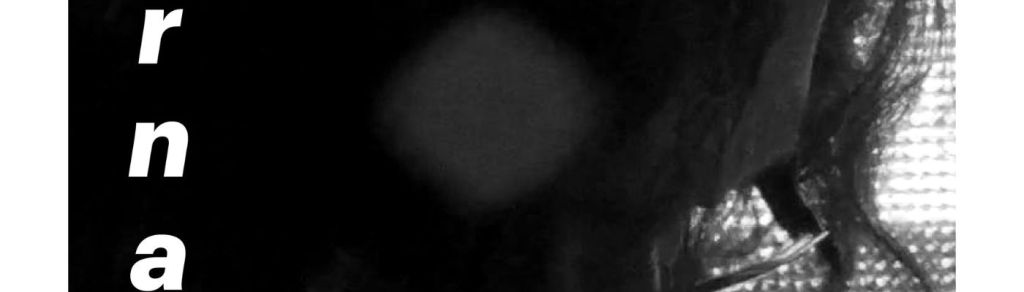 «En un Halo Verdeazul»: El LP debut de&nbsp;Bernabé