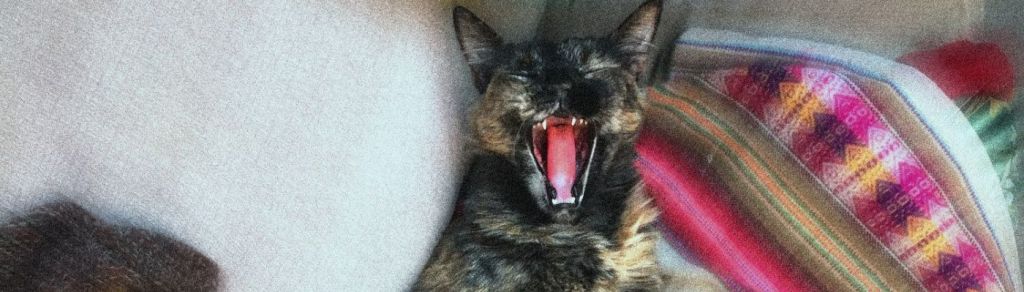 Encontrarse con uno mismo: Los Pasos estrenan&nbsp;«Cansado»