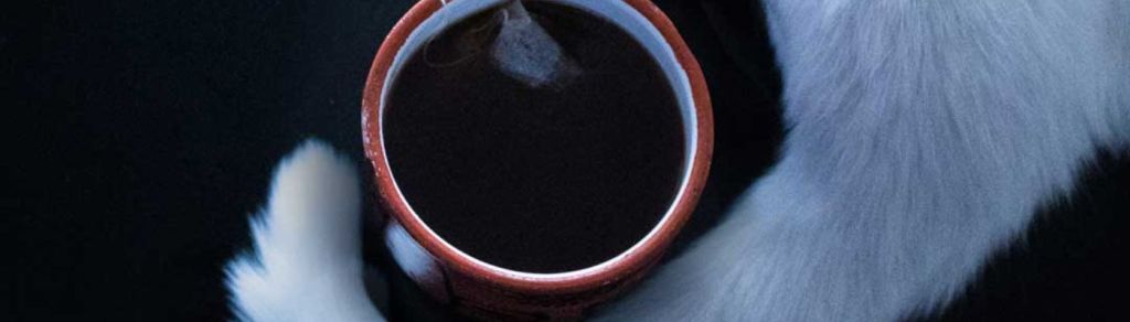 Talao estrena su segundo EP: «Penita de&nbsp;Invierno»