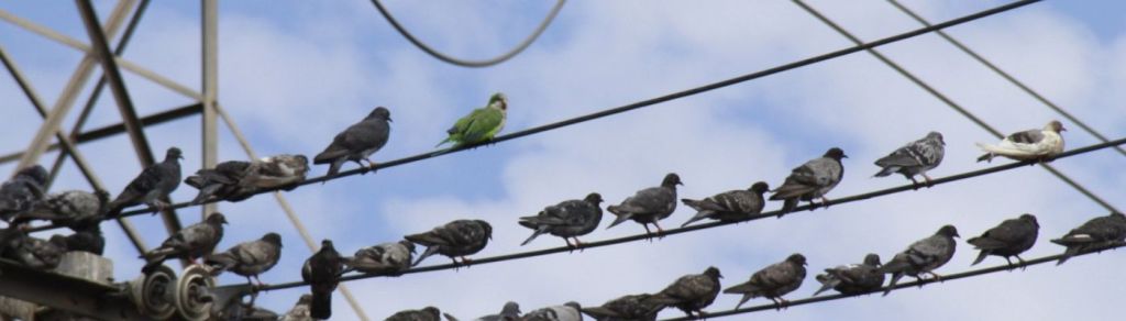 Arrebolito presenta “Lo Difícil es Avanzar”, su álbum&nbsp;debut