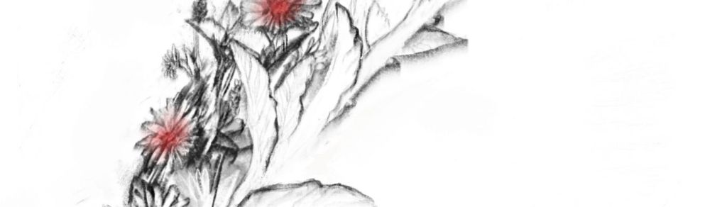 Cecilia y las conspiraciones lanza&nbsp;«Sombras»