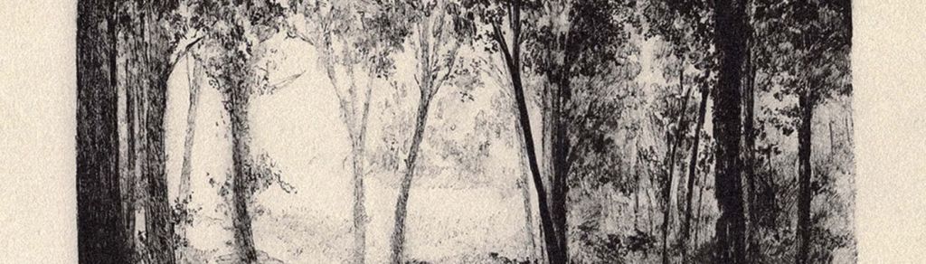 «Al otro lado del canal»: ECSDLQHP lanza último adelanto a su tercer&nbsp;disco