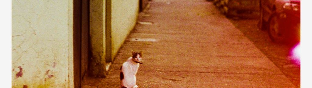 Simón Lizama lanza «Magnética», segundo adelanto de su&nbsp;disco