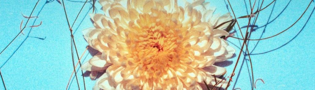 Un refugio para sentir: Amaicura estrena&nbsp;«Vida»