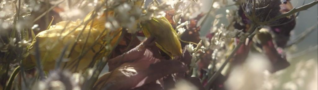 Los Furtivos Gnomos lanzan Portugal #2096: Folk íntimo para refugiarse en lo&nbsp;cotidiano