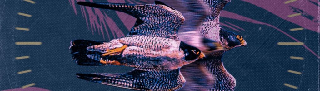 El Significado de las Flores reflexiona sobre el desarraigo en “La Migración de las&nbsp;Aves”