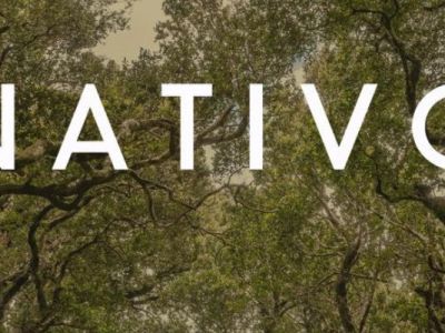 Entre ríos, montañas y un jazz que respira tierra: Acuarteto presenta&nbsp;«Nativo»