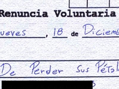 «Empleado del Mes»: De Perder sus Pétalos y la postal sonora del cansancio&nbsp;generacional
