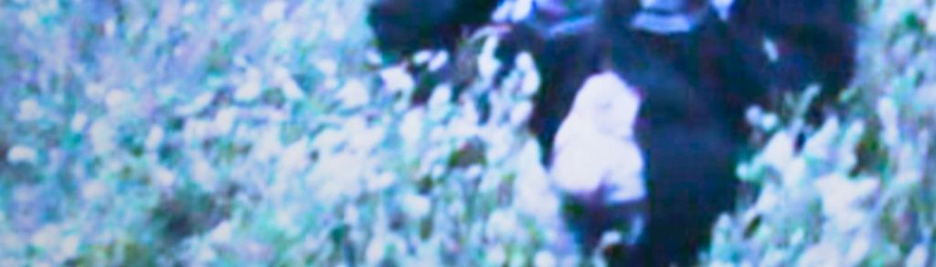 Sol Alegría expone lo íntimo en «Lo Que No Puedo Decirte»