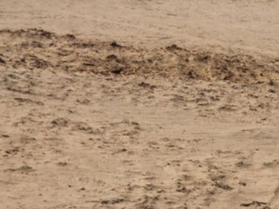 Gianella del Toro transforma el temor a la muerte en celebración nortina en «Cuando me haga&nbsp;polvo»