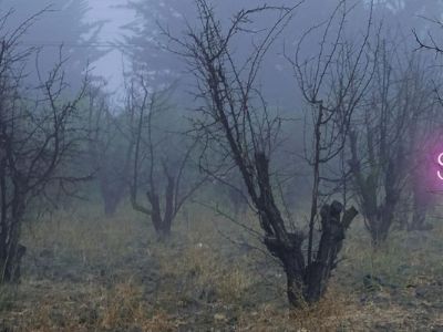 Lázaro Soho pone nombre y lugar a la transición hacia la adultez en «San Juan De&nbsp;Paine»