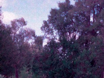 «Caliboro»: el duelo como un movimiento que nunca avanza en línea&nbsp;recta
